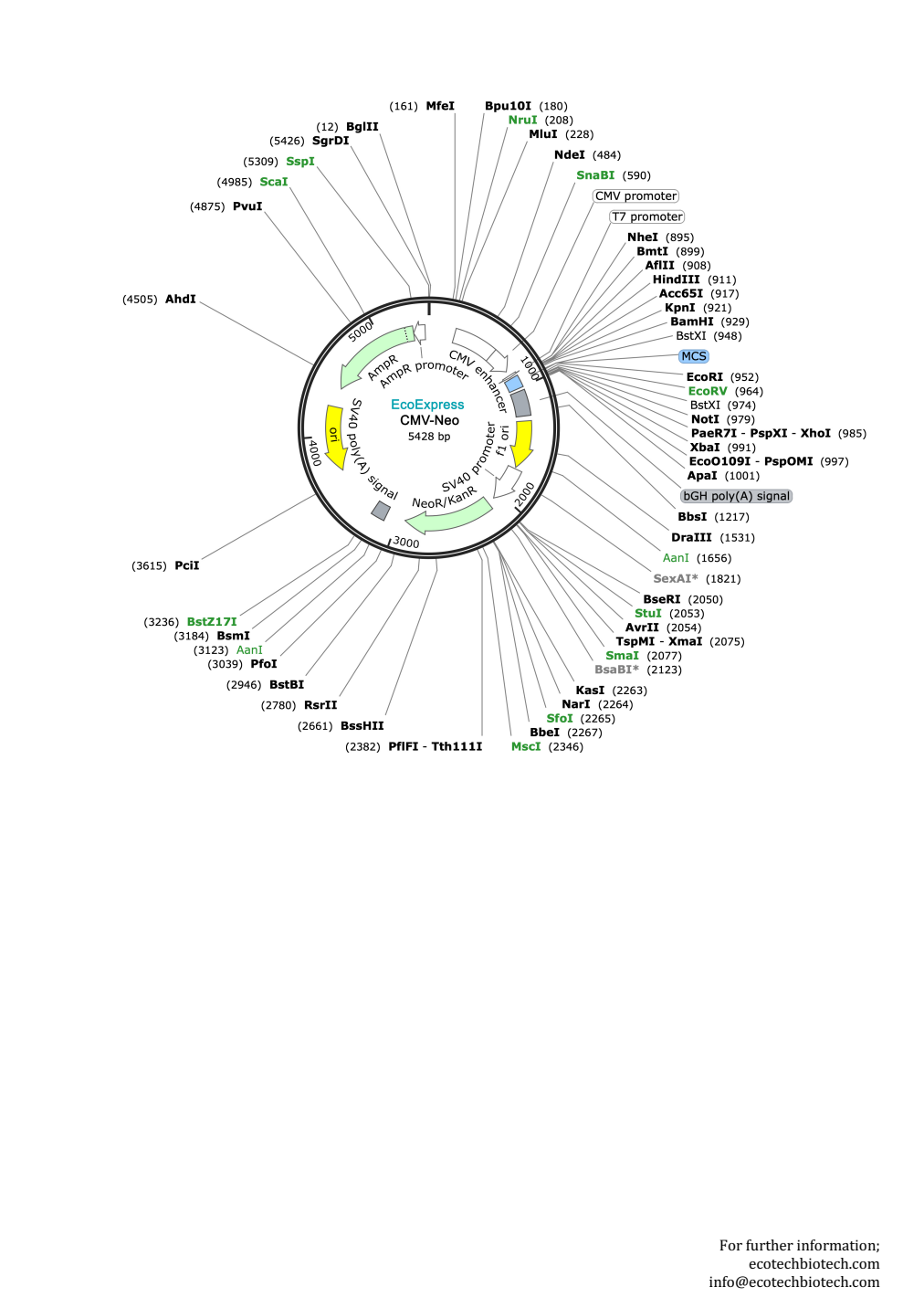 EcoExpress CMV-Neo — Vector map