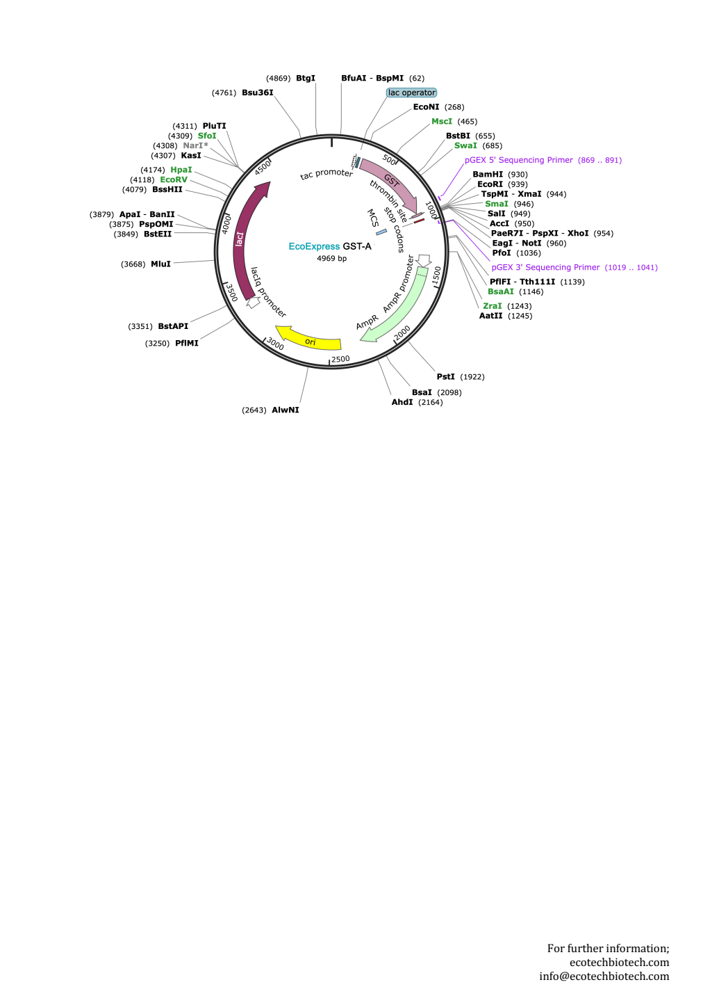 EcoExpress GST-A — Vector map