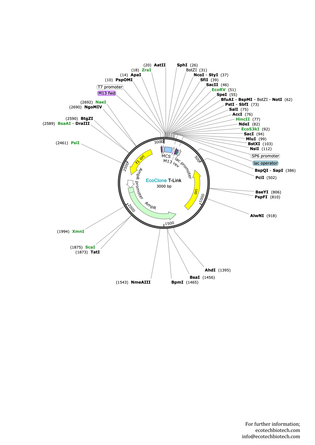 EcoClone T-Link — Vector map