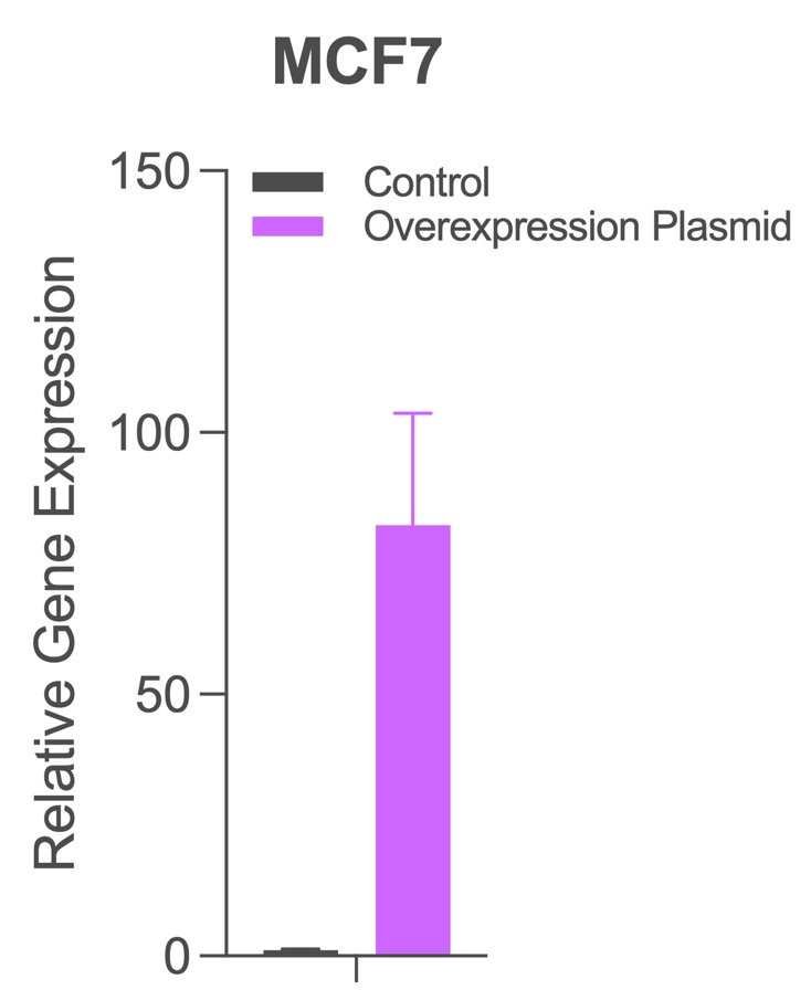 MCF7 gene-expression comparison