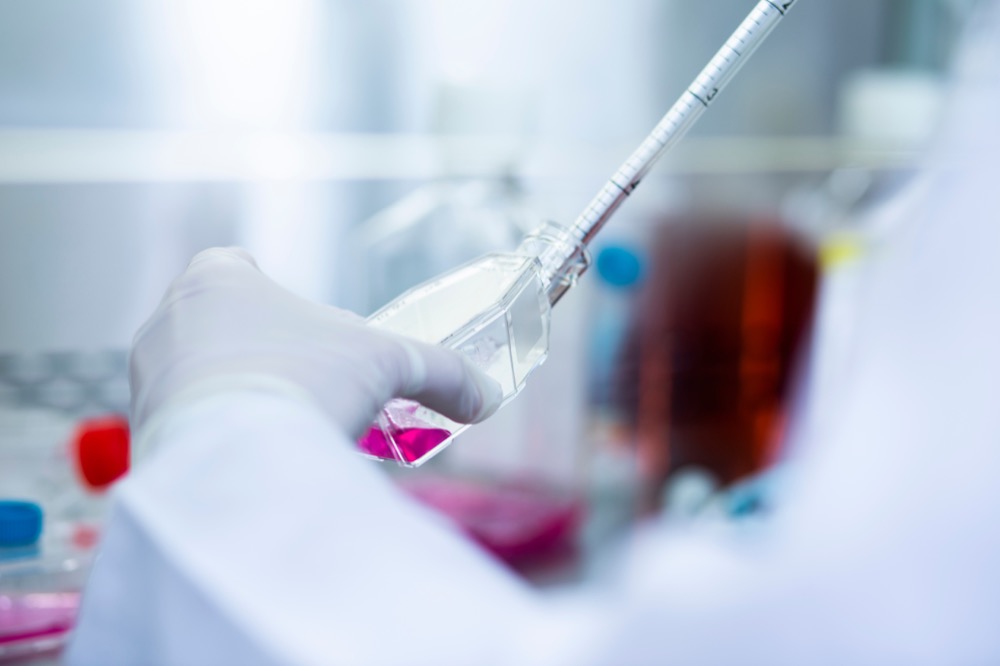Pipetting culture medium into a flask