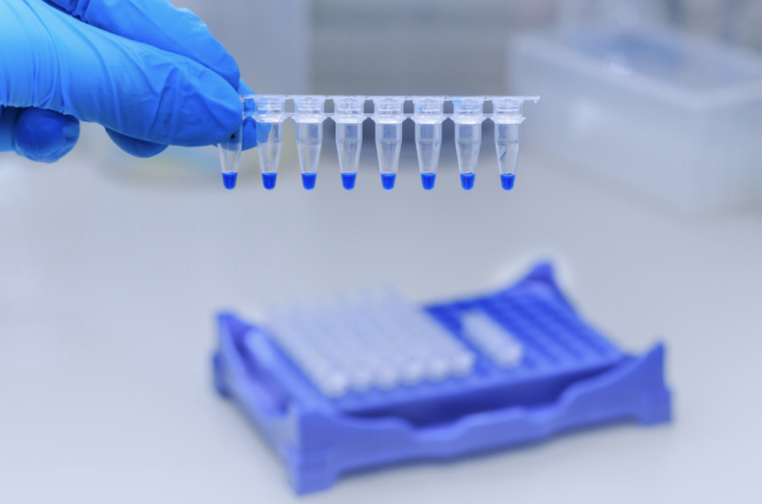 Gloved hand holding a strip of PCR tubes