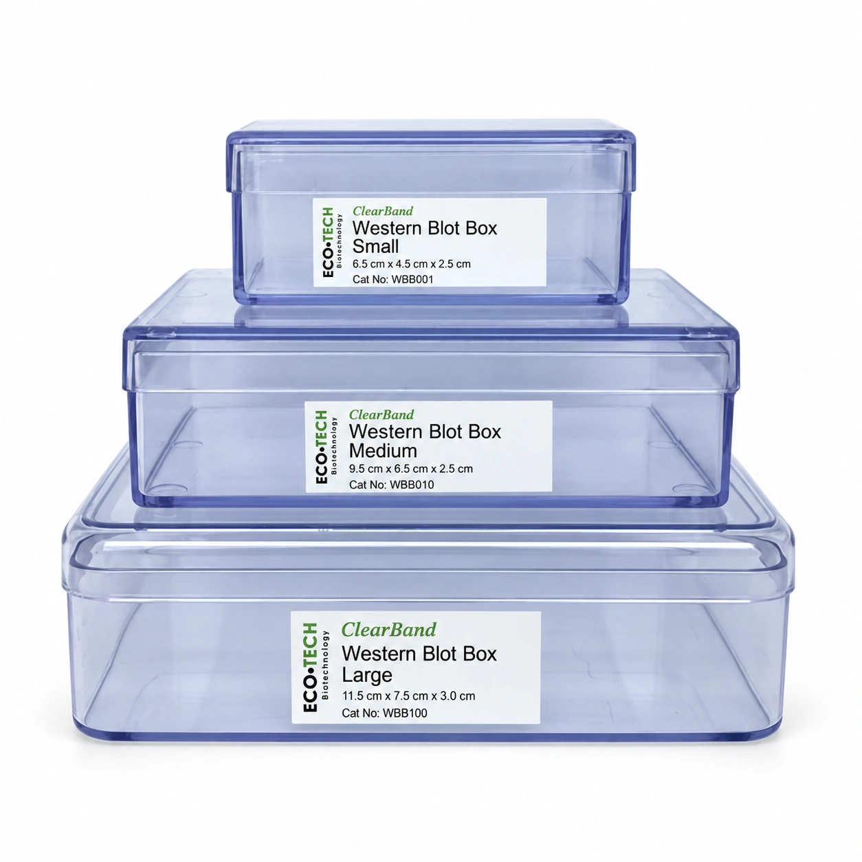 ClearBand Western Blot Boxes